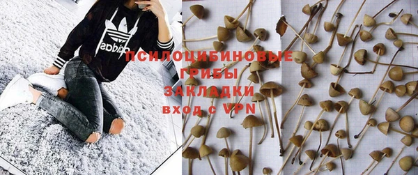 прущие крисы Новодвинск