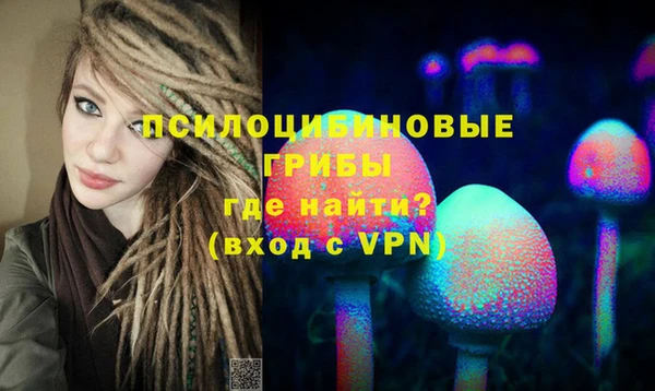 a pvp Алексеевка