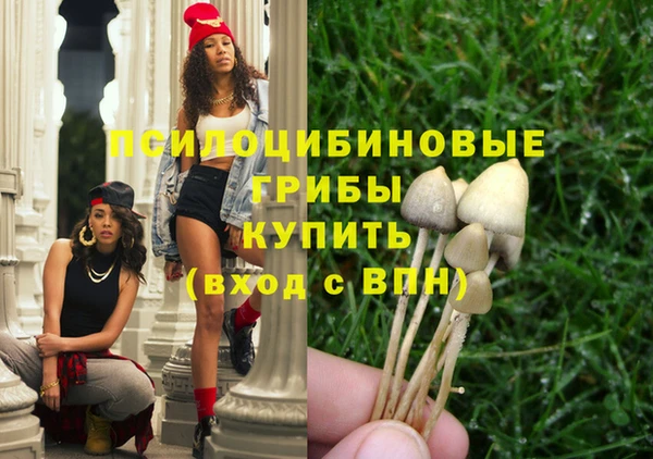 прущие крисы Новодвинск