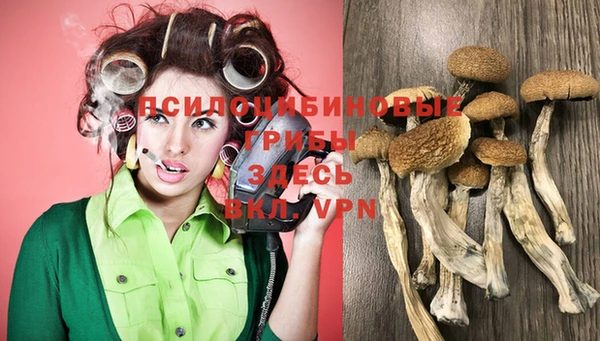 MESCALINE Алзамай