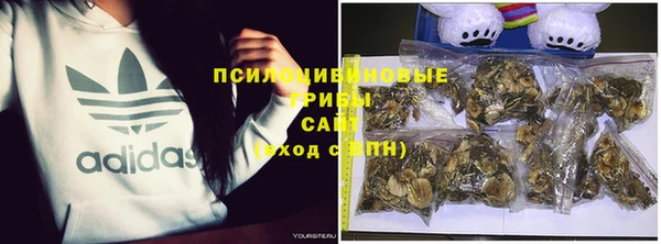 a pvp Алексеевка