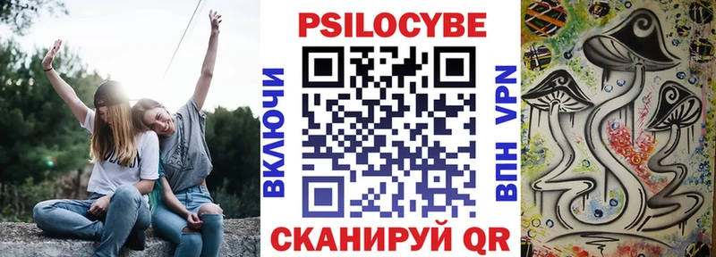 даркнет сайт дарк нет Telegram Псилоцибиновые грибы ЛСД Новоузенск